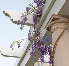 Havanah Building Design Philosophy